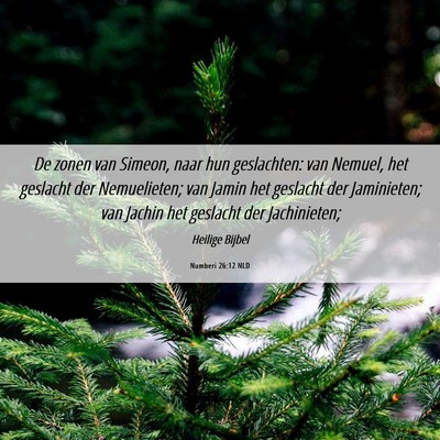 Picture 06 - Numberi 26:12 NLD - De zonen van Simeon, naar hun geslachten: van - Bible Verse Picture