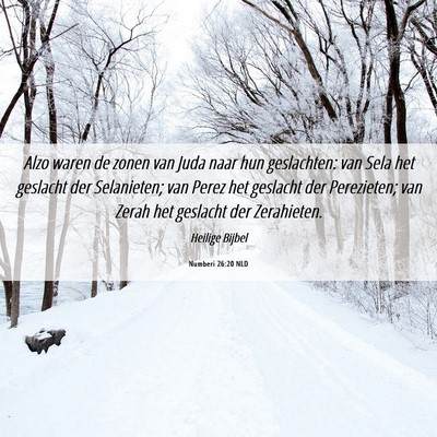 Picture 06 - Numberi 26:20 NLD - Alzo waren de zonen van Juda naar hun geslachten: - Bible Verse Picture