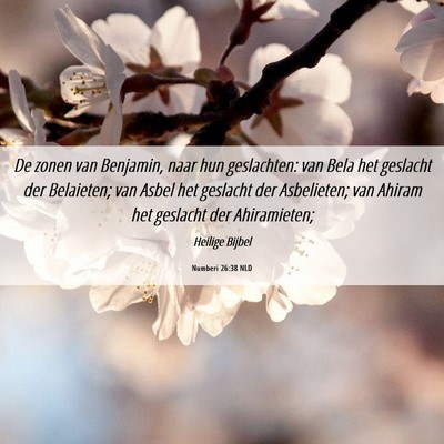 Picture 06 - Numberi 26:38 NLD - De zonen van Benjamin, naar hun geslachten: van - Bible Verse Picture