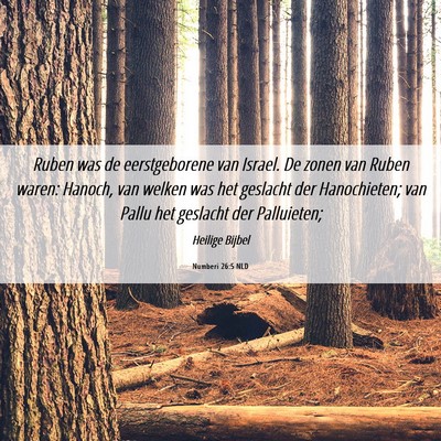 Picture 06 - Numberi 26:5 NLD - Ruben was de eerstgeborene van Israel. De zonen - Bible Verse Picture