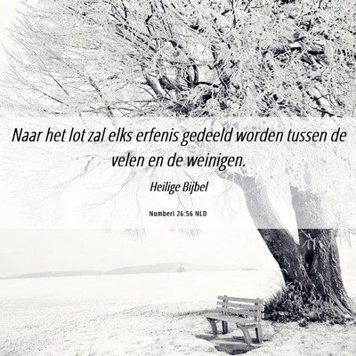 Picture 06 - Numberi 26:56 NLD - Naar het lot zal elks erfenis gedeeld worden - Bible Verse Picture