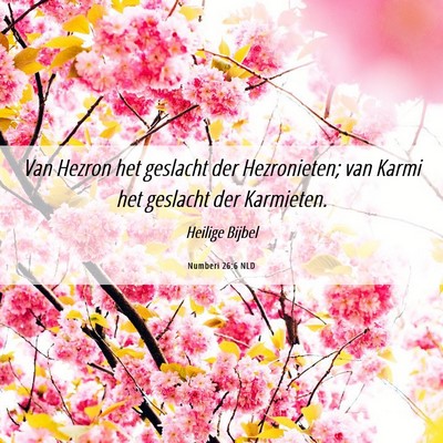 Picture 06 - Numberi 26:6 NLD - Van Hezron het geslacht der Hezronieten; van - Bible Verse Picture