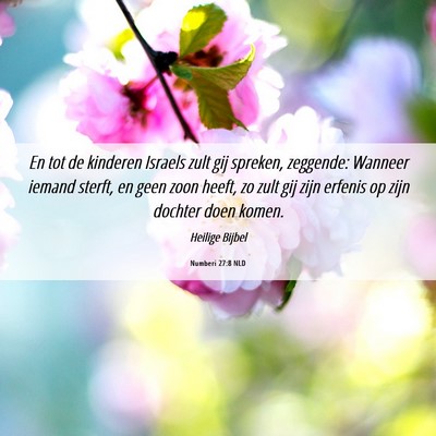 Picture 06 - Numberi 27:8 NLD - En tot de kinderen Israels zult gij spreken, - Bible Verse Picture