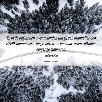 Picture 06 - Numberi 28:11 NLD - En in de beginselen uwer maanden zult gij een - Bible Verse Picture