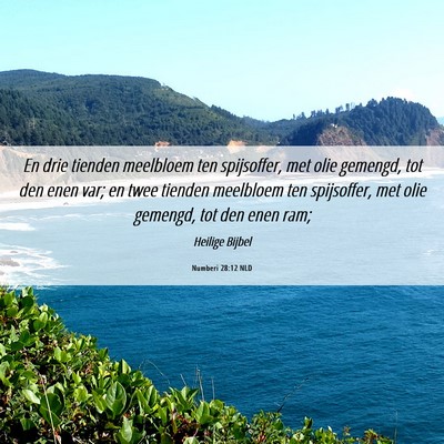Picture 06 - Numberi 28:12 NLD - En drie tienden meelbloem ten spijsoffer, met - Bible Verse Picture