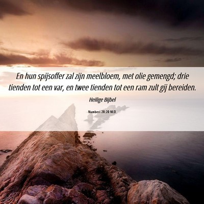 Picture 06 - Numberi 28:20 NLD - En hun spijsoffer zal zijn meelbloem, met olie - Bible Verse Picture