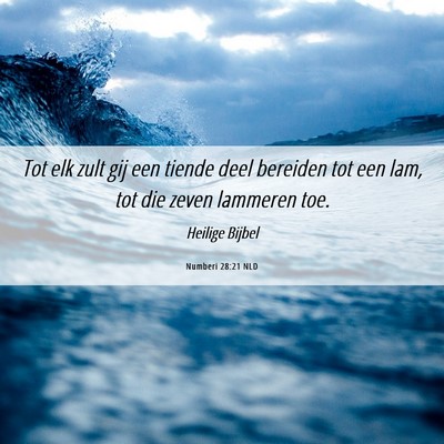 Picture 06 - Numberi 28:21 NLD - Tot elk zult gij een tiende deel bereiden tot een - Bible Verse Picture
