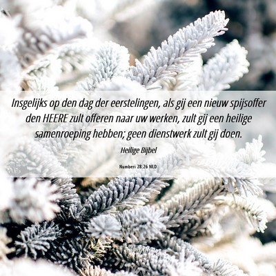 Picture 06 - Numberi 28:26 NLD - Insgelijks op den dag der eerstelingen, als gij - Bible Verse Picture