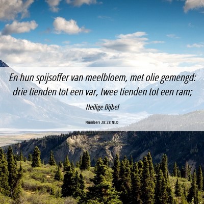Picture 06 - Numberi 28:28 NLD - En hun spijsoffer van meelbloem, met olie - Bible Verse Picture