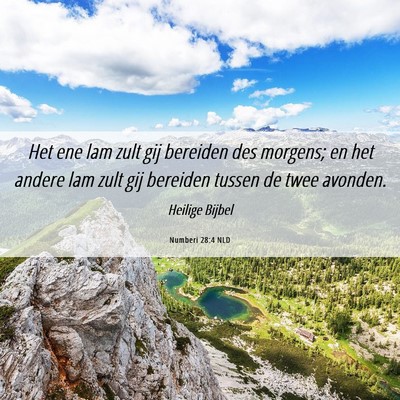 Picture 06 - Numberi 28:4 NLD - Het ene lam zult gij bereiden des morgens; en het - Bible Verse Picture