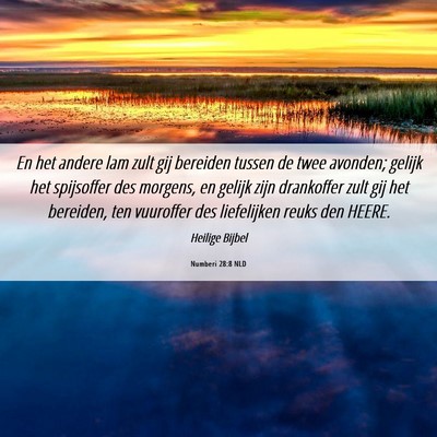 Picture 06 - Numberi 28:8 NLD - En het andere lam zult gij bereiden tussen de - Bible Verse Picture