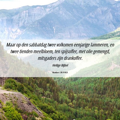 Picture 06 - Numberi 28:9 NLD - Maar op den sabbatdag twee volkomen eenjarige - Bible Verse Picture