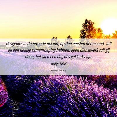 Picture 06 - Numberi 29:1 NLD - Desgelijks in de zevende maand, op den eersten - Bible Verse Picture