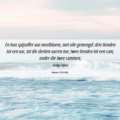 Picture 06 - Numberi 29:14 NLD - En hun spijsoffer van meelbloem, met olie - Bible Verse Picture
