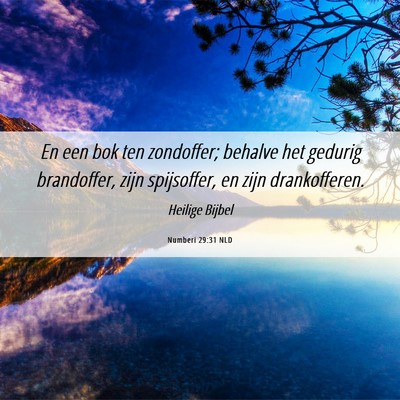 Picture 06 - Numberi 29:31 NLD - En een bok ten zondoffer; behalve het gedurig - Bible Verse Picture