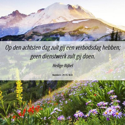 Picture 06 - Numberi 29:35 NLD - Op den achtsten dag zult gij een verbodsdag - Bible Verse Picture