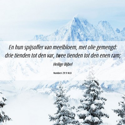 Picture 06 - Numberi 29:9 NLD - En hun spijsoffer van meelbloem, met olie - Bible Verse Picture