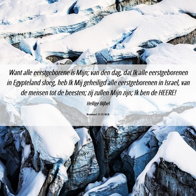 Picture 06 - Numberi 3:13 NLD - Want alle eerstgeborene is Mijn; van den dag, dat - Bible Verse Picture