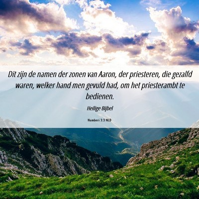 Picture 06 - Numberi 3:3 NLD - Dit zijn de namen der zonen van Aaron, der - Bible Verse Picture