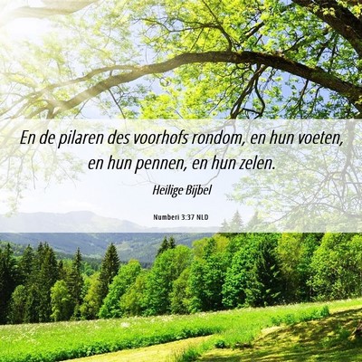 Picture 06 - Numberi 3:37 NLD - En de pilaren des voorhofs rondom, en hun voeten, - Bible Verse Picture