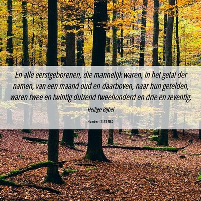 Picture 06 - Numberi 3:43 NLD - En alle eerstgeborenen, die mannelijk waren, in - Bible Verse Picture
