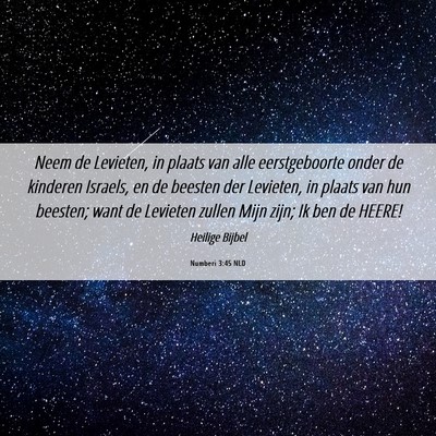 Picture 06 - Numberi 3:45 NLD - Neem de Levieten, in plaats van alle - Bible Verse Picture