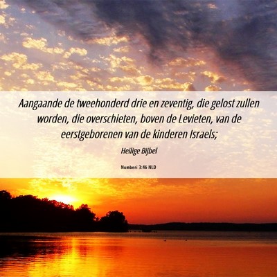 Picture 06 - Numberi 3:46 NLD - Aangaande de tweehonderd drie en zeventig, die - Bible Verse Picture