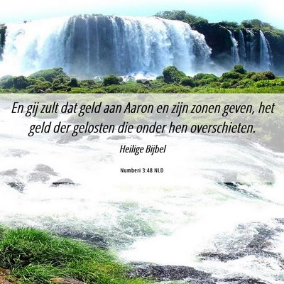 Picture 06 - Numberi 3:48 NLD - En gij zult dat geld aan Aaron en zijn zonen - Bible Verse Picture