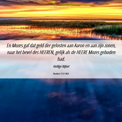 Picture 06 - Numberi 3:51 NLD - En Mozes gaf dat geld der gelosten aan Aaron en - Bible Verse Picture