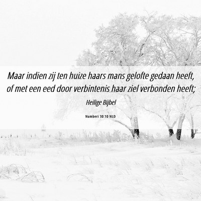 Picture 06 - Numberi 30:10 NLD - Maar indien zij ten huize haars mans gelofte - Bible Verse Picture