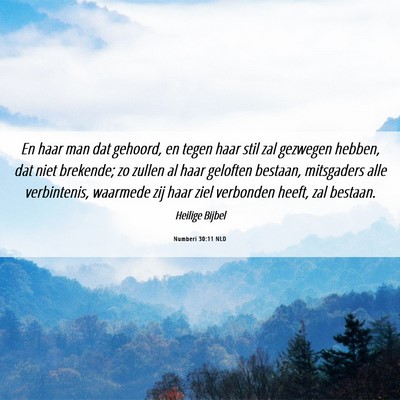 Picture 06 - Numberi 30:11 NLD - En haar man dat gehoord, en tegen haar stil zal - Bible Verse Picture