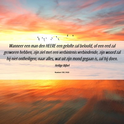 Picture 06 - Numberi 30:2 NLD - Wanneer een man den HEERE een gelofte zal - Bible Verse Picture
