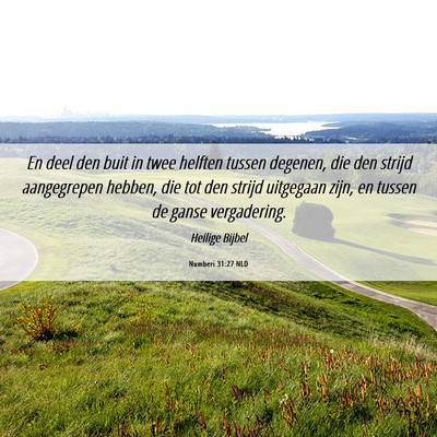 Picture 06 - Numberi 31:27 NLD - En deel den buit in twee helften tussen degenen, - Bible Verse Picture