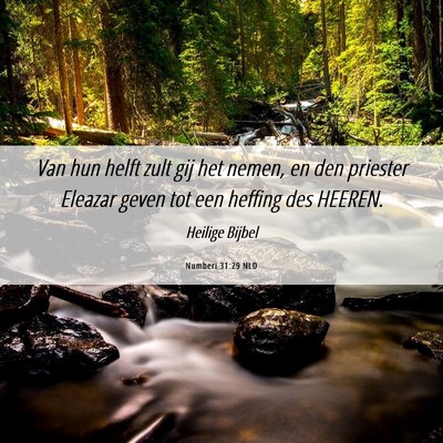 Picture 06 - Numberi 31:29 NLD - Van hun helft zult gij het nemen, en den priester - Bible Verse Picture
