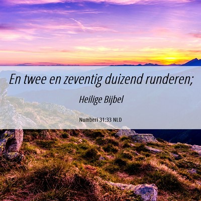 Picture 06 - Numberi 31:33 NLD - En twee en zeventig duizend - Bible Verse Picture