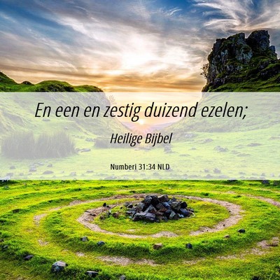 Picture 06 - Numberi 31:34 NLD - En een en zestig duizend - Bible Verse Picture
