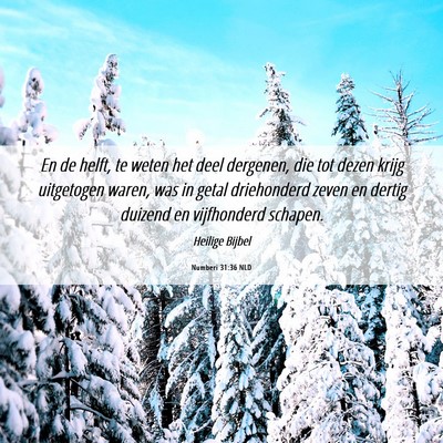 Picture 06 - Numberi 31:36 NLD - En de helft, te weten het deel dergenen, die tot - Bible Verse Picture