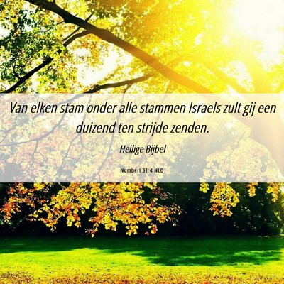 Picture 06 - Numberi 31:4 NLD - Van elken stam onder alle stammen Israels zult - Bible Verse Picture