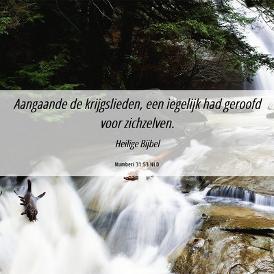 Picture 06 - Numberi 31:53 NLD - Aangaande de krijgslieden, een iegelijk had - Bible Verse Picture