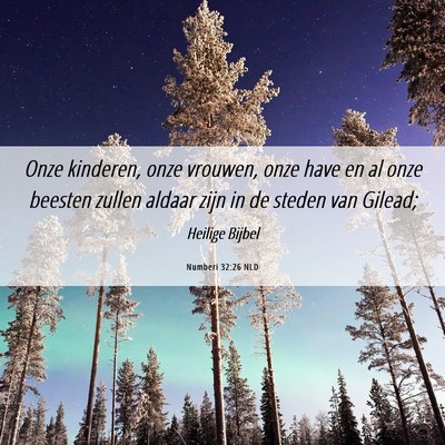 Picture 06 - Numberi 32:26 NLD - Onze kinderen, onze vrouwen, onze have en al onze - Bible Verse Picture