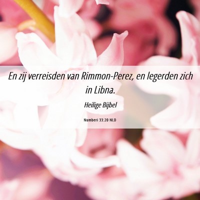 Picture 06 - Numberi 33:20 NLD - En zij verreisden van Rimmon-Perez, en legerden - Bible Verse Picture