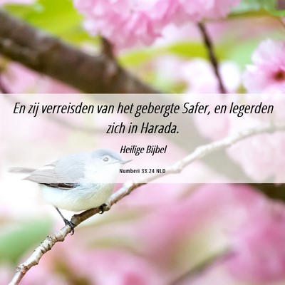 Picture 06 - Numberi 33:24 NLD - En zij verreisden van het gebergte Safer, en - Bible Verse Picture