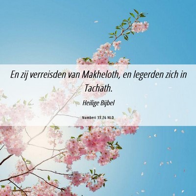 Picture 06 - Numberi 33:26 NLD - En zij verreisden van Makheloth, en legerden zich - Bible Verse Picture