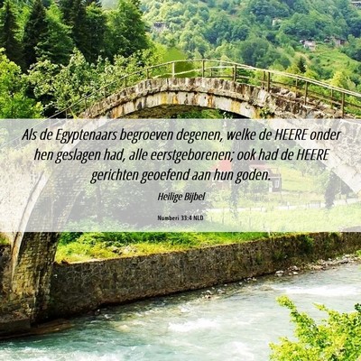 Picture 06 - Numberi 33:4 NLD - Als de Egyptenaars begroeven degenen, welke de - Bible Verse Picture