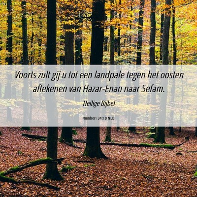 Picture 06 - Numberi 34:10 NLD - Voorts zult gij u tot een landpale tegen het - Bible Verse Picture