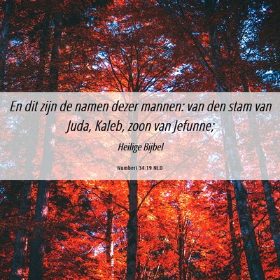 Picture 06 - Numberi 34:19 NLD - En dit zijn de namen dezer mannen: van den stam - Bible Verse Picture