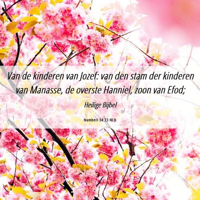 Picture 06 - Numberi 34:23 NLD - Van de kinderen van Jozef: van den stam der - Bible Verse Picture