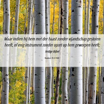 Picture 06 - Numberi 35:22 NLD - Maar indien hij hem met der haast zonder - Bible Verse Picture