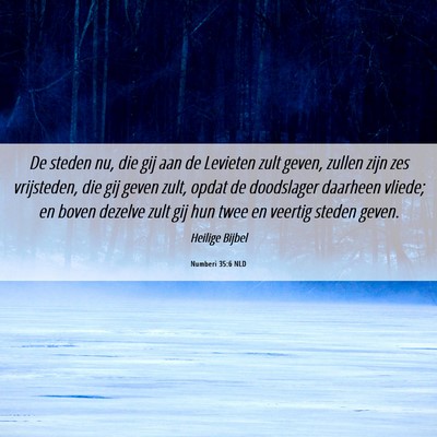Picture 06 - Numberi 35:6 NLD - De steden nu, die gij aan de Levieten zult geven, - Bible Verse Picture