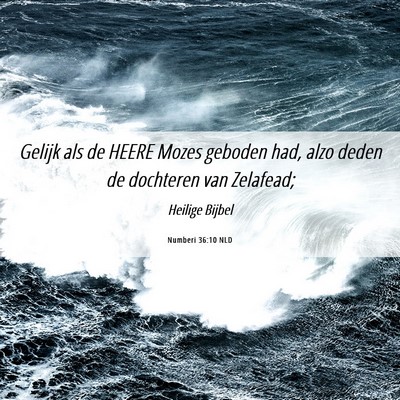 Picture 06 - Numberi 36:10 NLD - Gelijk als de HEERE Mozes geboden had, alzo deden - Bible Verse Picture